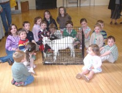 Children from St John's Malone meet a kid goat. The young people raised funds to send five goats to Africa with the charity Bothar.